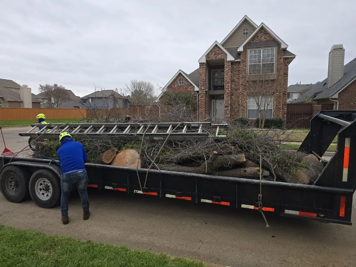 Expert Lot Clearing with proper safety equipment in Etoile